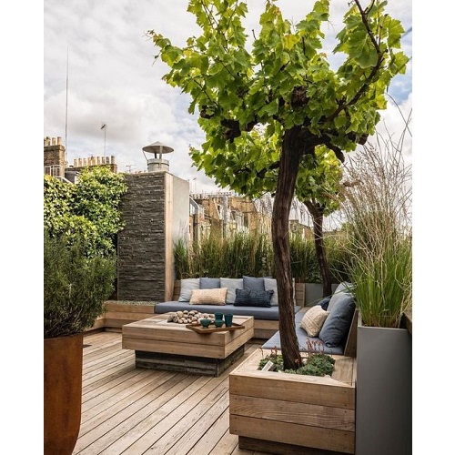 روف گاردن کرج